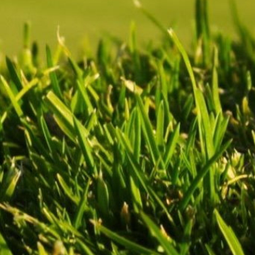 160223 Manawatu council image